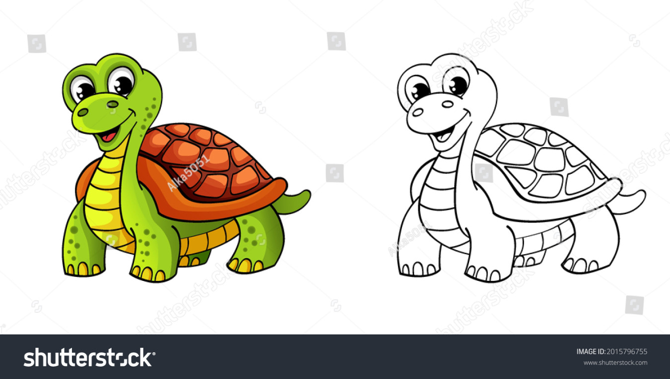 , Tortoise Color Images, Stock Photos & Vectors  Shutterstock