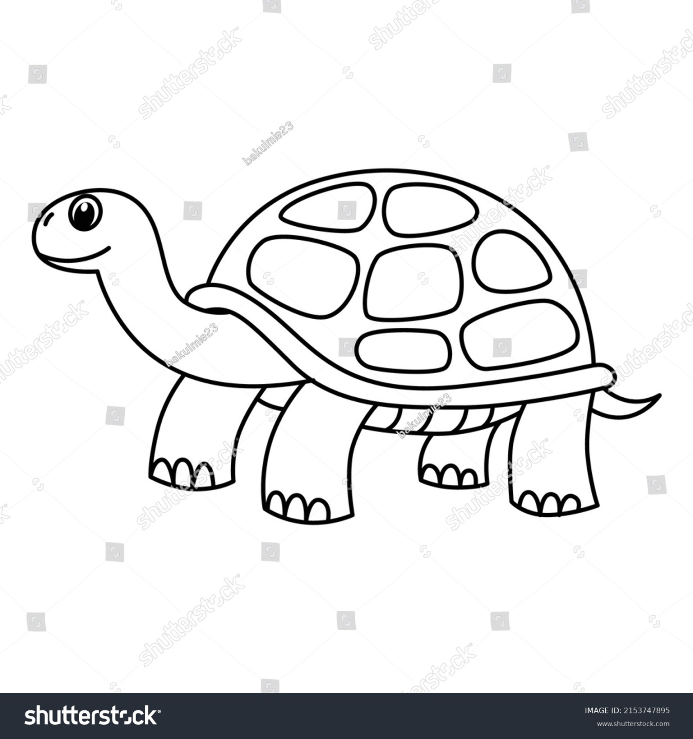 , Tortoise Color Images, Stock Photos & Vectors  Shutterstock