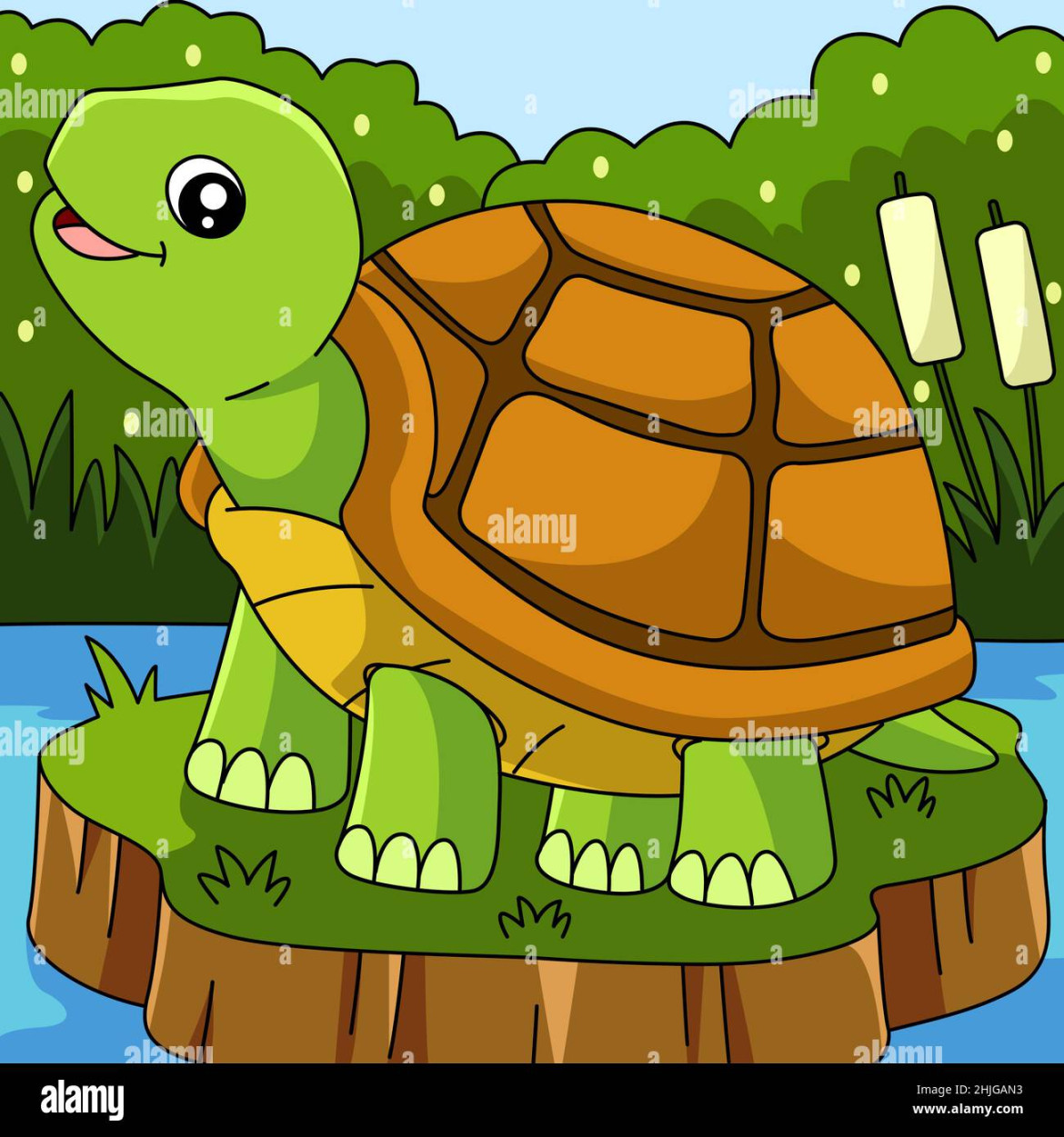 Tortoise drawing hi-res stock photography and images - Page  - Alamy