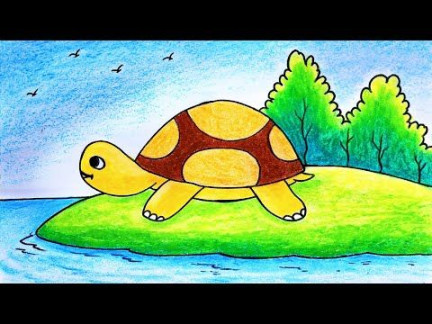 Tortoise drawing