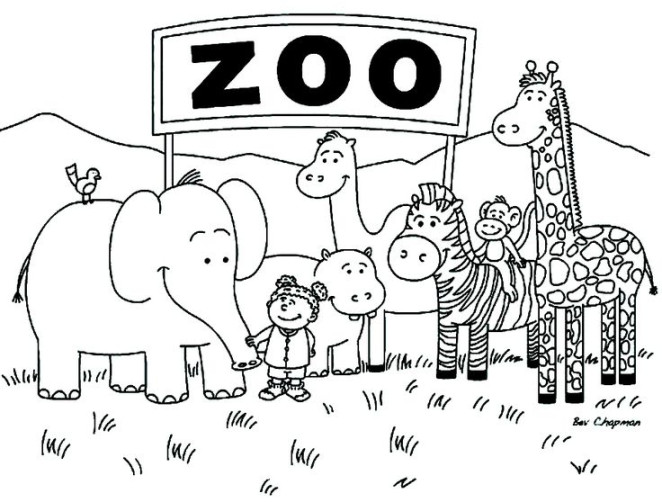 Zoo Animal Coloring Pages Easy  Zoo coloring pages, Zoo animal