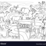 Zoo Jungle Safari Animals Coloring Book Royalty Free Vector