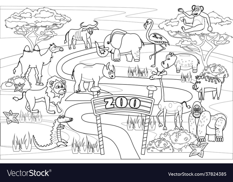 Zoo jungle safari animals coloring book Royalty Free Vector